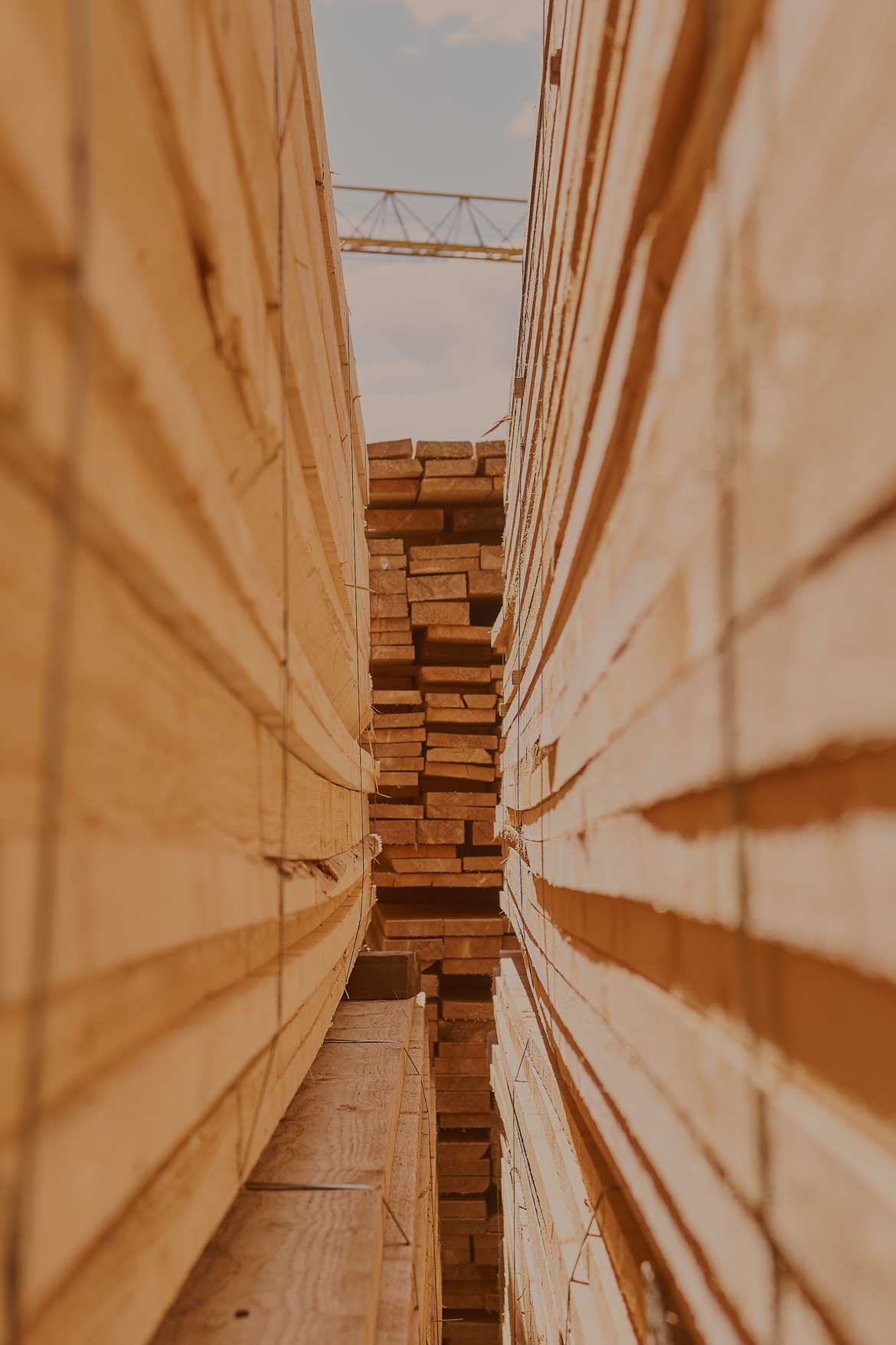 fabricacion de pallets Guatemala